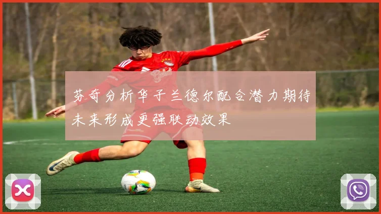 芬奇分析华子兰德尔配合潜力期待未来形成更强联动效果